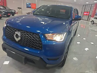 2021 Great Wall Pao 2.0T Commercial Edition Automatic Diesel 2WD Elite Long Box GW4D20M, фото 1, лот 10248932
