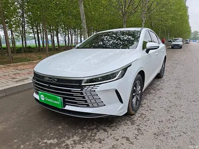 2024 BYD Destroyer 05 Glory Edition DM-i 55KM Luxury, фото 2, лот 10267826