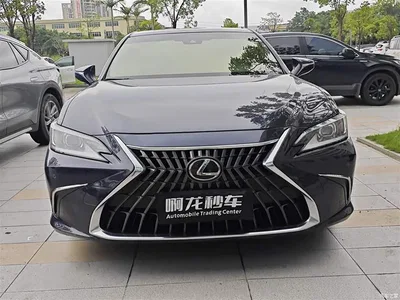 2022 Lexus ES 300h Excellence Edition, фото 2, лот 10311885