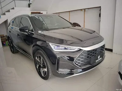 2024 BYD Tang New Energy DM-i Honor Edition 112KM Premium, фото 4, лот 10667974