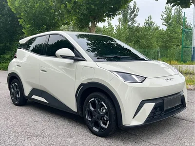 2024 BYD Seagull Glory Edition 405km Soaring Edition, фото 3, лот 10255311