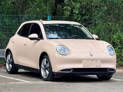2021 Ora Good Cat 400km Standard Range Athena Edition (LFP), фото 2, лот 10612133