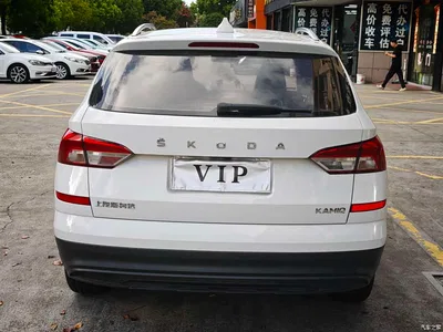 2021 Škoda Kamiq 1.5L Automatic Standard, фото 4, лот 10349395