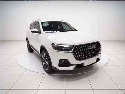 2023 Haval H6 National Trend Edition 1.5T Automatic Champion, фото 4, лот 10287268