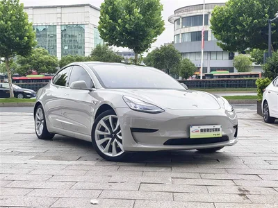 2020 Tesla Model 3 Standard Range Rear-Wheel Drive Upgrade, фото 3, лот 10357196
