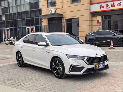 2022 Škoda Octavia PRO TSI280 Premium Edition, фото 3, лот 10348541