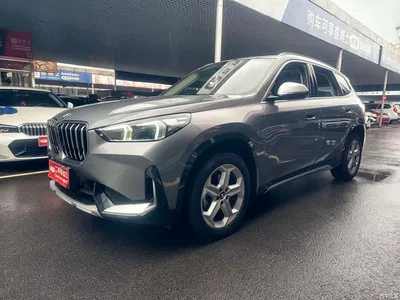 2023 BMW X1 sDrive20Li X Design Package, фото 1, лот 10464988
