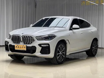 2020 BMW X6 xDrive40i M Sport Package, фото 1, лот 10468950