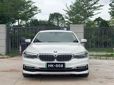2019 BMW 5 Series New Energy 530Le Luxury Package, фото 2, лот 10474176