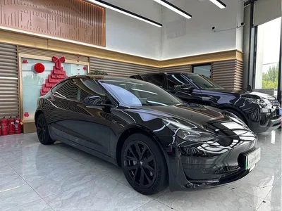 2022 Tesla Model 3 Model Rear-Wheel Drive Version, фото 3, лот 10346083