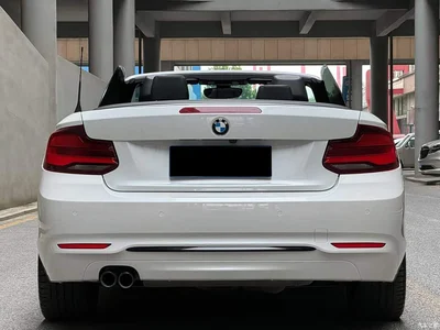 2019 BMW 2 Series (Import) 225i Convertible Coupe Sport Design Package, фото 4, лот 10239061