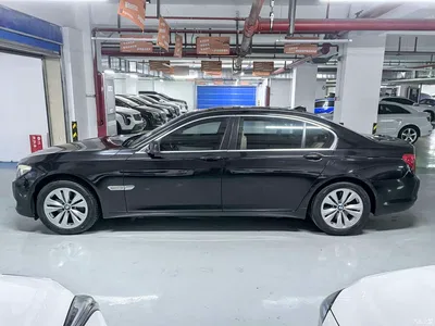 2009 BMW 7 Series 730Li Luxury, фото 4, лот 10458742