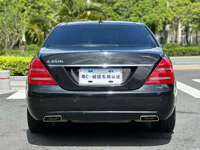 2010 Mercedes-Benz S-Class S 350 L Luxury, фото 4, лот 10269390