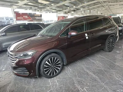 2020 Volkswagen Viloran 330TSI Business Edition, фото 1, лот 11006929