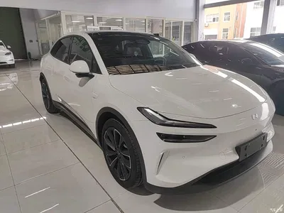 2024 Ledao L60 60kWh Rear-Wheel Drive, фото 4, лот 10832608