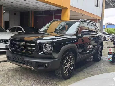 2021 Haval Big Dog 1.5T DCT 2WD Malinois Edition, фото 1, лот 10361751