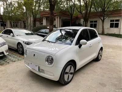 2021 Ora Black Cat 301km Basic Model, фото 1, лот 10304542