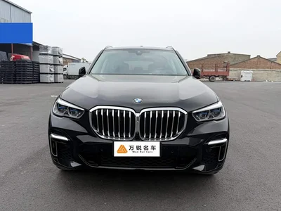 2022 BMW X5 Facelift xDrive 30Li Premium M Sport Package, фото 2, лот 11177624