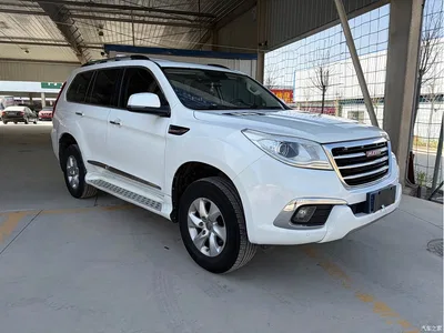 2016 Haval H9 2.0T 4WD Luxury 5-seater, фото 2, лот 10302007