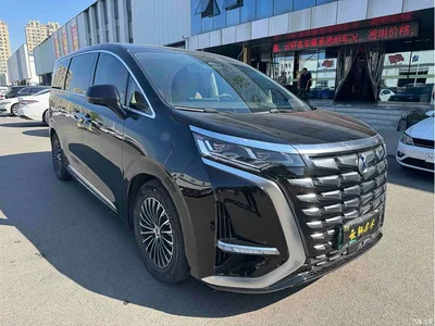 2024 Denza D9 DM-i 980 AWD Prestige, фото 3, лот 10449950
