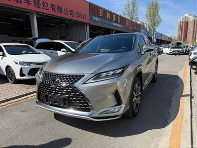 2020 Lexus RX Facelift 300 AWD Elegance Edition, фото 1, лот 10316230