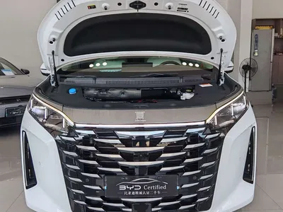 2025 BYD Xia DM-i 1.5T 180km Surpass Edition, фото 2, лот 10248663