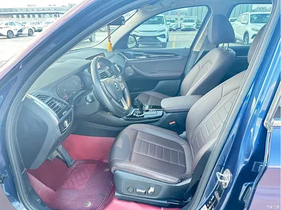 2020 BMW X3 xDrive25i Luxury Package, фото 4, лот 11102946