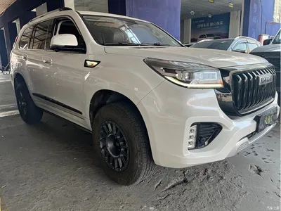 2022 Haval H9 2.0T Gasoline 4WD Luxury 7-seater, фото 3, лот 10282615