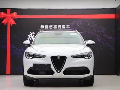 2017 Alfa Romeo Stelvio 2.0T 280HP Luxury, фото 2, лот 10240306
