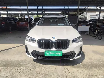 2023 BMW X3 xDrive30i Leading M Night Package, фото 3, лот 10462028