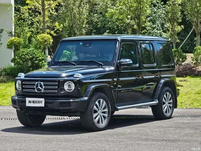 2019 Mercedes-Benz G-Class G 500, фото 1, лот 10247985