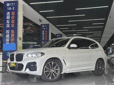 2021 BMW X3 xDrive30i Leading M Sport Package, фото 1, лот 10460602