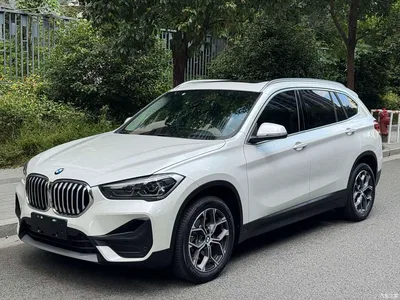 2020 BMW X1 sDrive25Li Leading Model, фото 1, лот 10466751