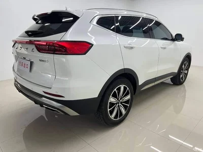 2023 Haval H6 National Trend Edition 1.5T Automatic Champion, фото 4, лот 10270814