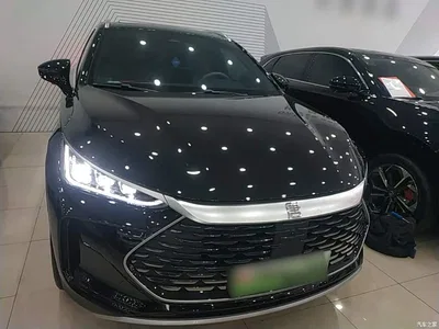 2024 BYD Tang New Energy DM-i Glory Edition 112KM Deluxe, фото 3, лот 10272475