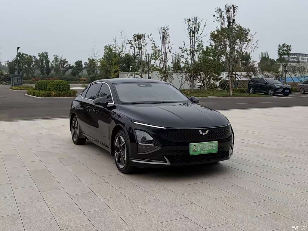 2024 Wuling Motors Wuling Xingguang Co-Creation Edition 150 Pilot, фото 3, лот 11199015