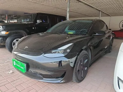 2022 Tesla Model 3 Model Rear-Wheel Drive Version, фото 1, лот 10370638