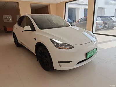2023 Tesla Model Y Long Range All-Wheel Drive Edition, фото 4, лот 10370030