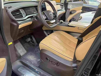 2024 Denza D9 EV 600 AWD Premium, фото 3, лот 10449829