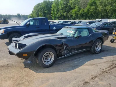 1979 CHEVROLET CORVETTE, фото 1, лот 10976753