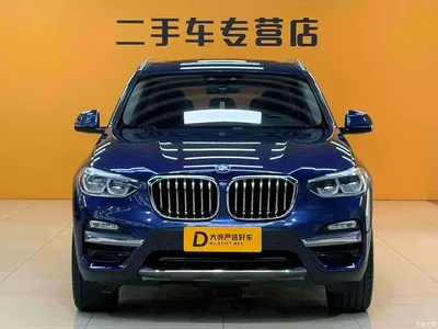 2019 BMW X3 xDrive25i Luxury Package, фото 2, лот 11566187