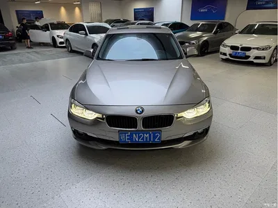 2016 BMW 3 Series 320Li Progressive, фото 2, лот 10830189