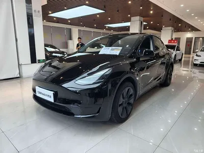 2023 Tesla Model Y Rear-Wheel Drive Edition, фото 1, лот 11199048