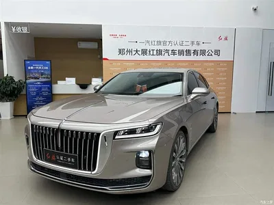2020 Hongqi H9 2.0T Smart Connection Qi Chang Edition, фото 1, лот 10386635