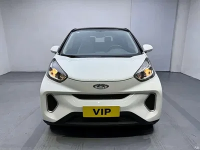2021 QQ New Energy Little Ant 200K Fans Edition Vitality Version (LFP Battery 301km), фото 3, лот 10823639
