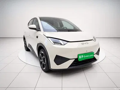 2025 BYD Seagull Smart Drive Edition 305km Freedom Version, фото 3, лот 10770925