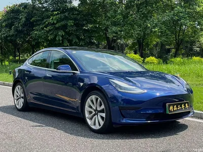 2019 Tesla Model 3 Standard Range Rear-Wheel Drive Upgrade, фото 3, лот 11314561