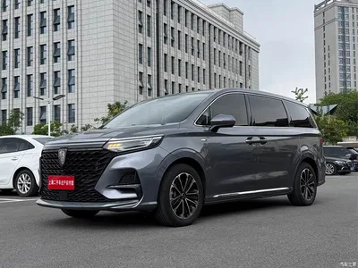 2022 Roewe iMAX8 400TGI Flagship, фото 3, лот 11198515