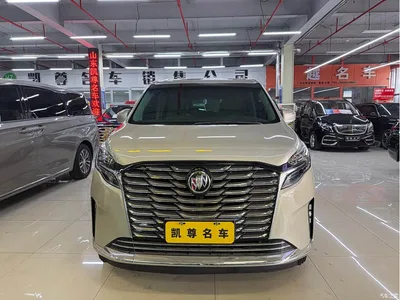 2022 Buick GL8 ES Landmark 653T Comfort, фото 2, лот 10255053