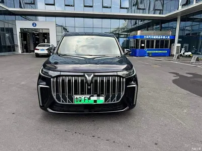 2022 Voyah Auto Voyah Dreamer Low-carbon Edition Think+Smart Driving Package, фото 2, лот 10358067